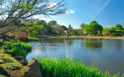 Top 5 Parks in Toowoomba